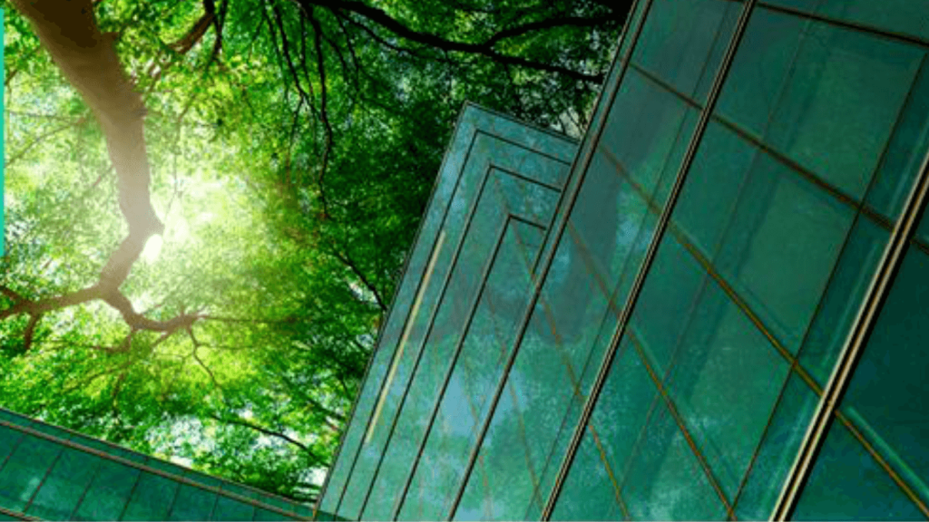 Planet First: Eco-Friendly Trends