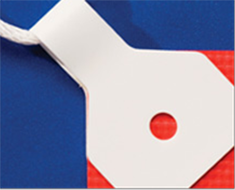 Banner Ups Regular 500 count