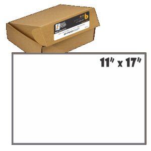 10-point matte card stock 11 x 17 sheets