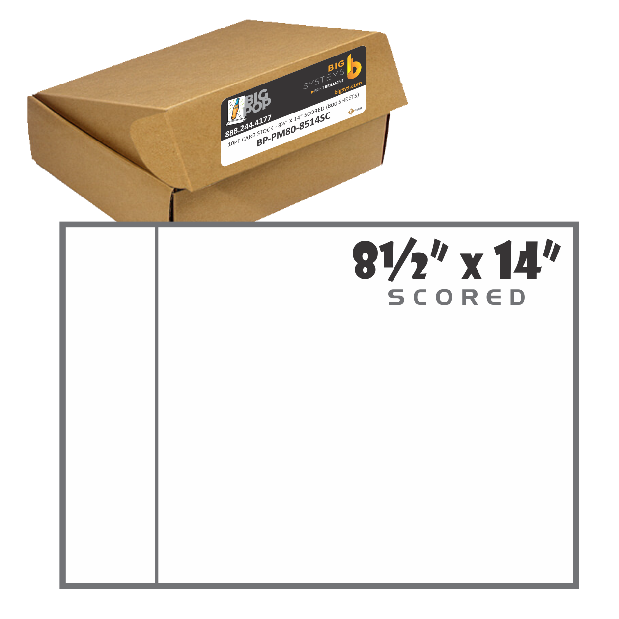10-point matte card stock 8 x 14 with scored tab sheets