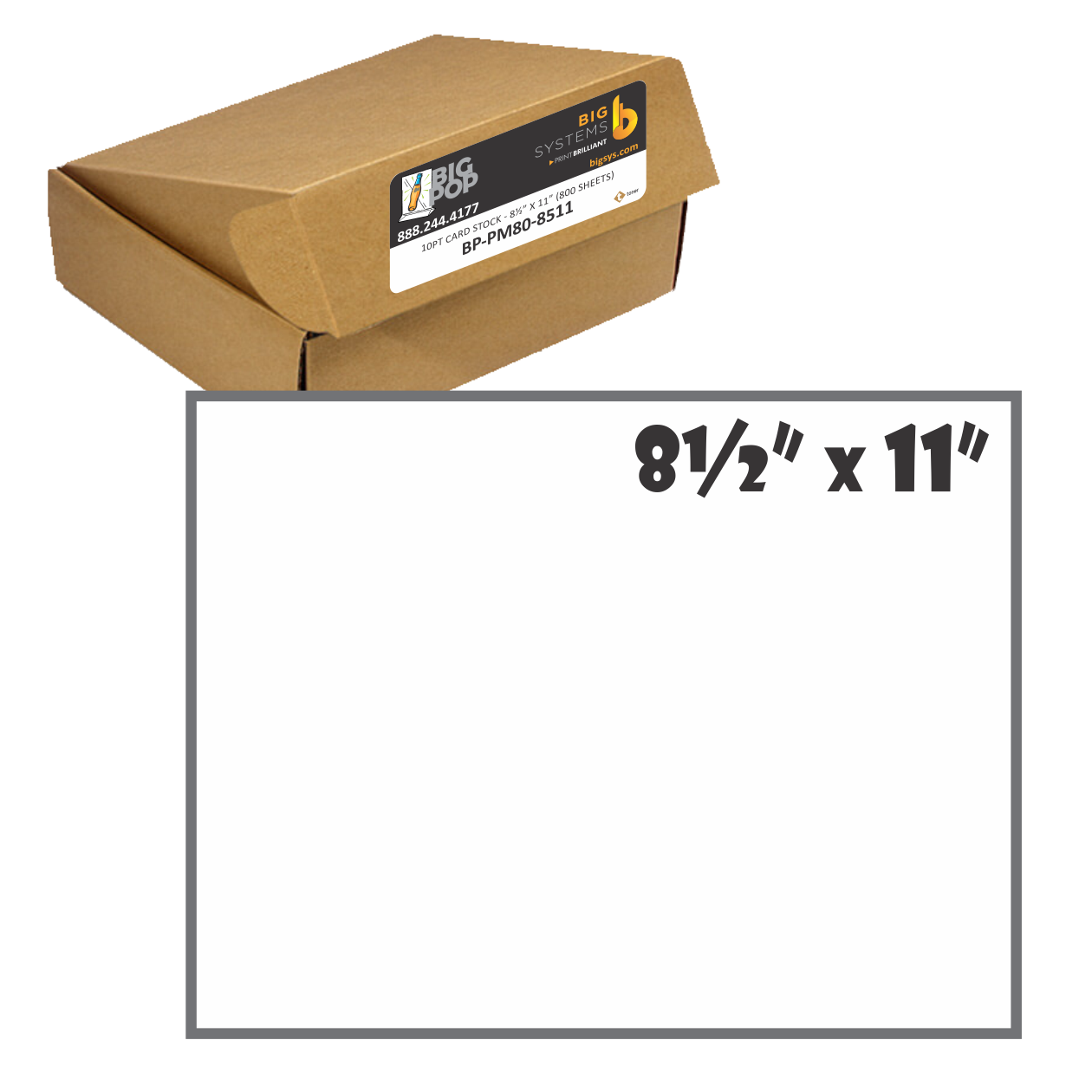 10-point matte card stock 8 x 11 sheets