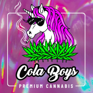 Pink Holographic PVC Vinyl with Permanent Adhesive high gloss color shifting contour cut vinyl roll