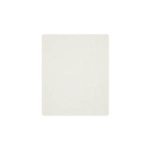 SureColor F-Series Small Grip Pad v2 C13S210120 platen grip pad for Epson F2270 and F3070 printers