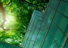 Planet First: Eco-Friendly Trends