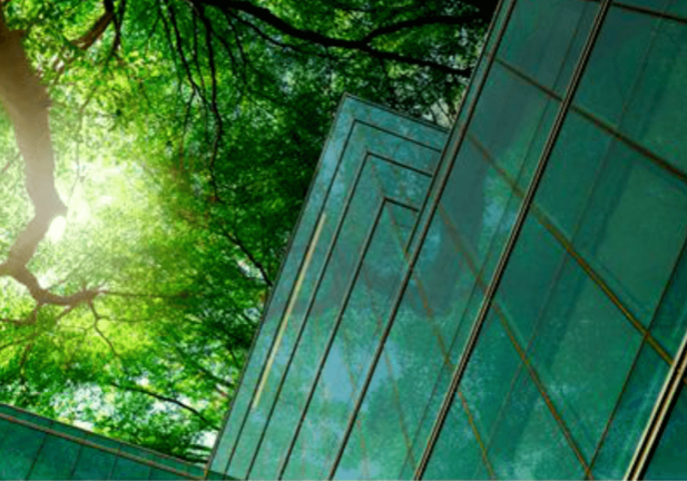 Planet First: Eco-Friendly Trends